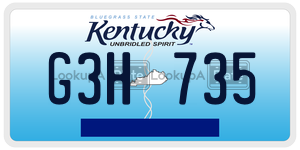 G3H735  license plate in KY