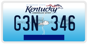 G3N346  license plate in KY