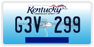 G3V299  license plate in KY