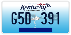 G5D391  license plate in KY
