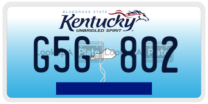 G5G802 license plate in Kentucky