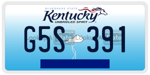 G5S391  license plate in KY