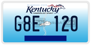 G8E120  license plate in KY