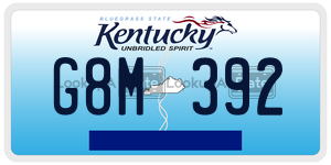 G8M392  license plate in KY