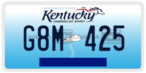 G8M425  license plate in KY
