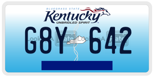 G8Y642  license plate in KY