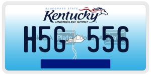 H5G556  license plate in KY