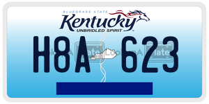 H8A623  license plate in KY