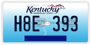 H8E393  license plate in KY