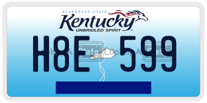 H8E599  license plate in KY