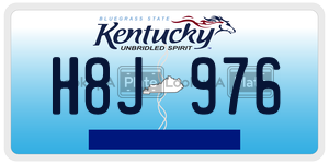 H8J976  license plate in KY