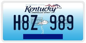 H8Z989  license plate in KY