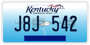 J8J542 license plate in Kentucky
