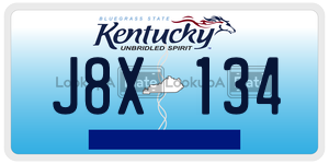 J8X134  license plate in KY