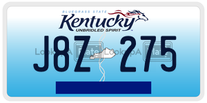 J8Z275  license plate in KY