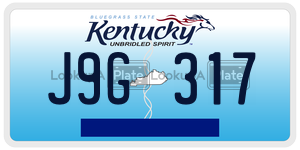 J9G317  license plate in KY