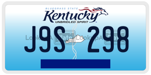 J9S298  license plate in KY