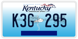 K3G295  license plate in KY