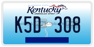 K5D308  license plate in KY