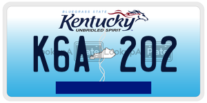 K6A202  license plate in KY