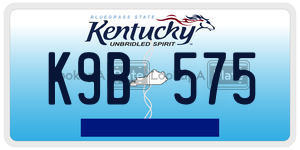 K9B575 license plate in Kentucky