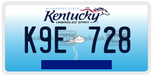 K9E728  license plate in KY