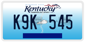 K9K545  license plate in KY