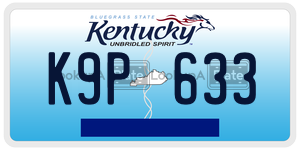K9P633  license plate in KY
