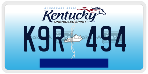 K9R494 license plate in Kentucky