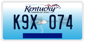 K9X074  license plate in KY