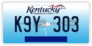K9Y303  license plate in KY