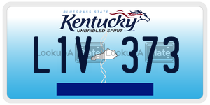 L1V373  license plate in KY