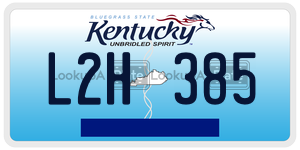 L2H385  license plate in KY
