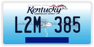 L2M385  license plate in KY