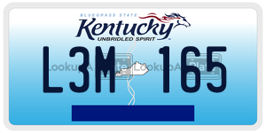 L3M165  license plate in KY