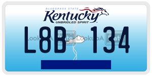 L8B134  license plate in KY