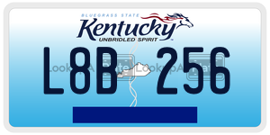 L8B256  license plate in KY