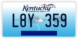 L8Y359  license plate in KY