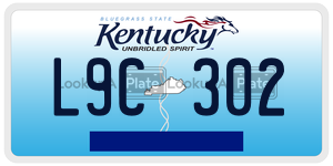 L9C302 license plate in Kentucky