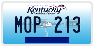 M0P213  license plate in KY