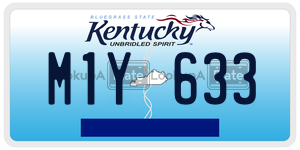 M1Y633  license plate in KY