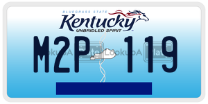 M2P119  license plate in KY