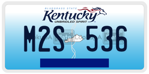 M2S536  license plate in KY