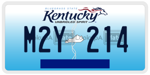 M2Y214  license plate in KY