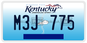 M3J775  license plate in KY