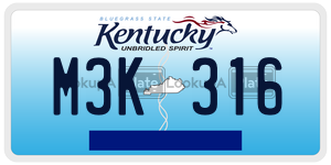 M3K316 license plate in Kentucky