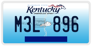 M3L896  license plate in KY