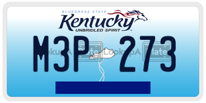M3P273  license plate in KY