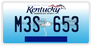 M3S653  license plate in KY