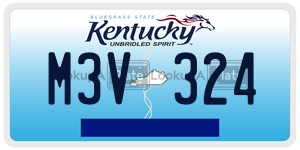 M3V324  license plate in KY